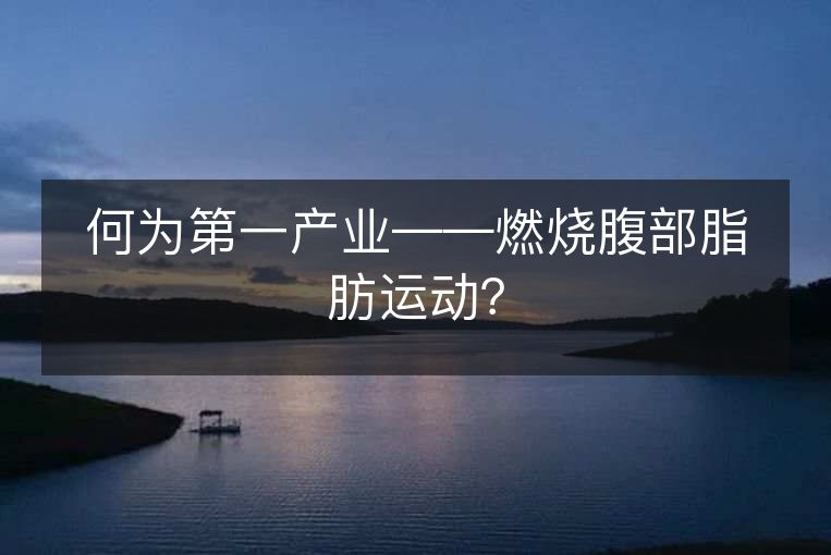 何为第一产业——燃烧腹部脂肪运动? 何为第一产业——燃烧腹部脂肪运动?